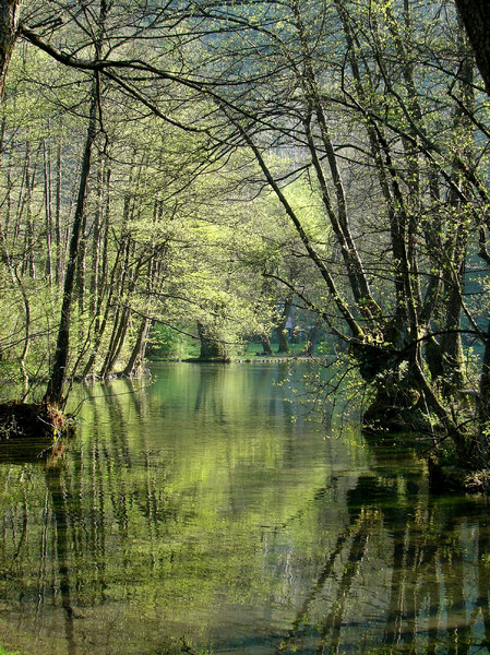 Spring of river Bosnia