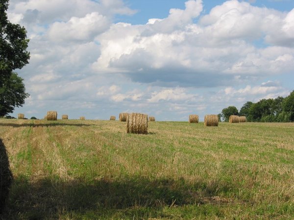 French haytime | Free stock photos - Rgbstock - Free stock images ...