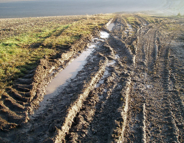 Pure british mud