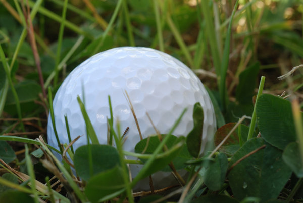 Golf ball on the grass