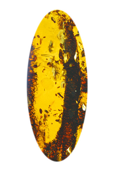 Mass of natural amber from Bal