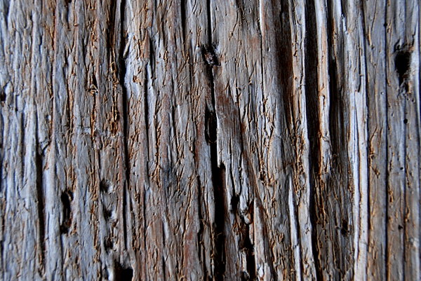 Old wood texture 1