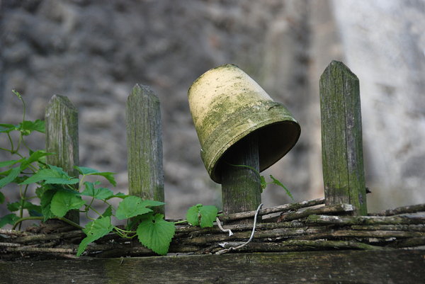 Old flowerpot on the fence