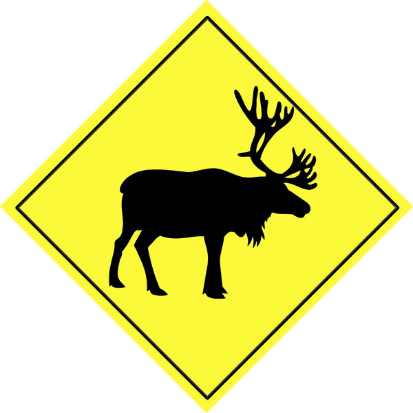 Warning sign - animal  4