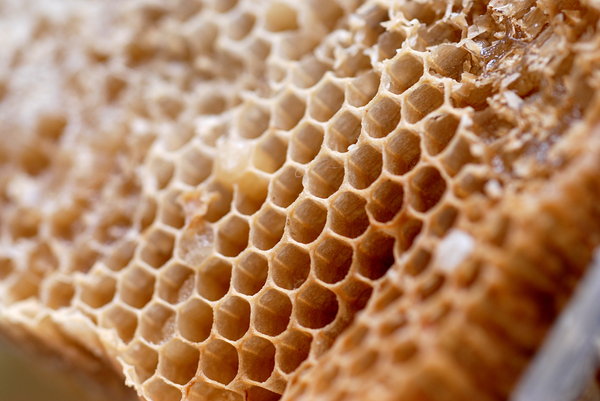 Honeycomb 4