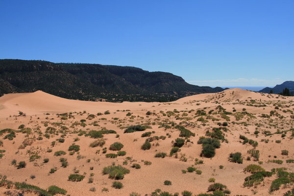 Coral Pink sand dunes