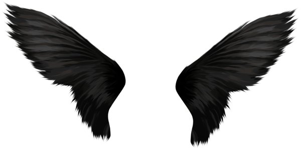schwarzen Flügeln: 