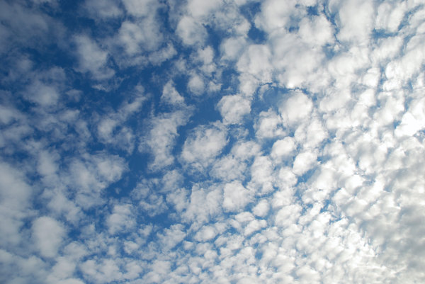 Altocumulus Clouds 1