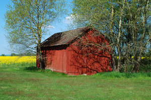 Forgotten Shed: 