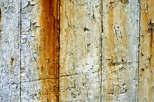 Peeling Paint 2: Peeling paint texture found on an old wooden door.