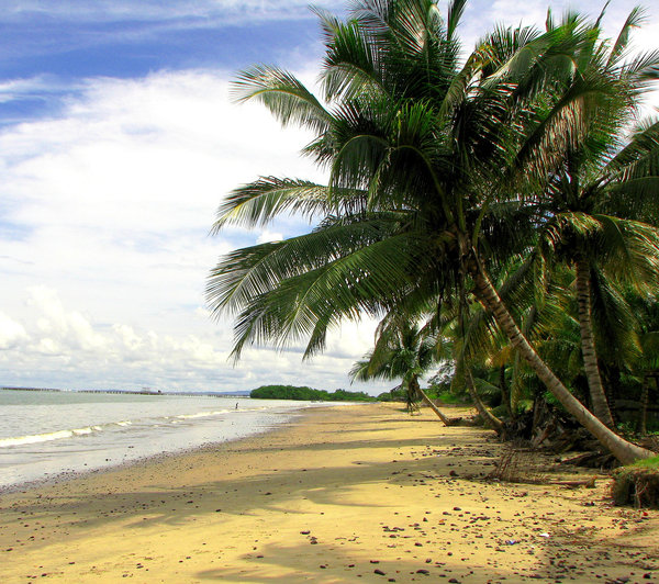 Tar Beach: Beach near LaBrea Tarpit in Trinidad. Bubbles of tar can be found on the beach.