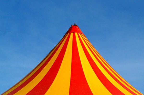 Circus is in town