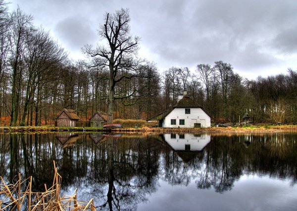Forest house - HDR