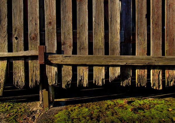 Old wood fence - HDR