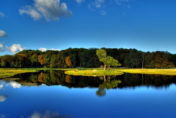 Forest Lake - HDR: 