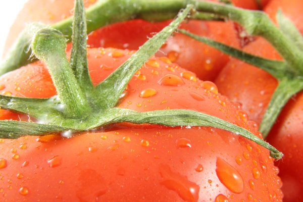 Tomato Close-up
