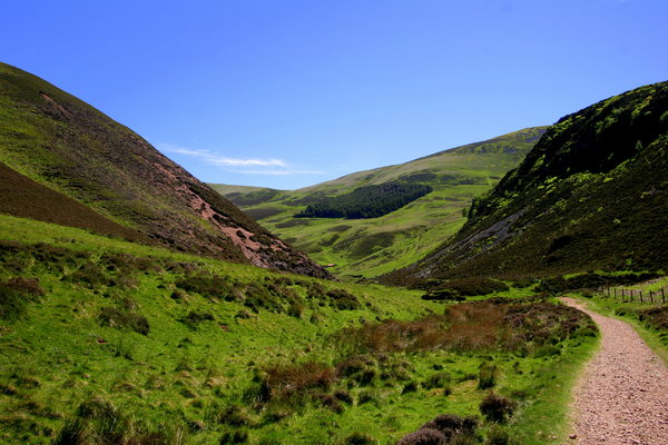 Pentlands Landscape