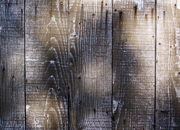 Distressed wood in dappled lig