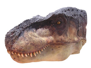 Dino head