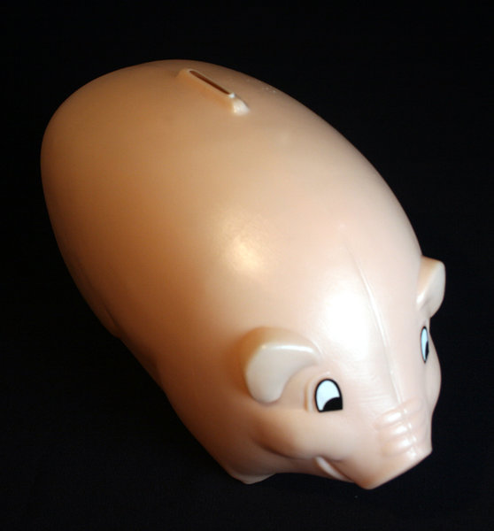 piggy bank: piggy bank