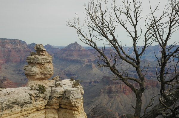 Grand Canyon area 1