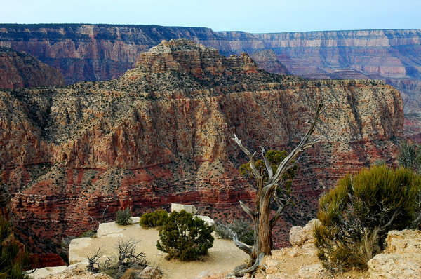 Grand Canyon Scenic 2