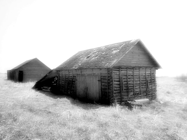 Old Black and White Homesteads