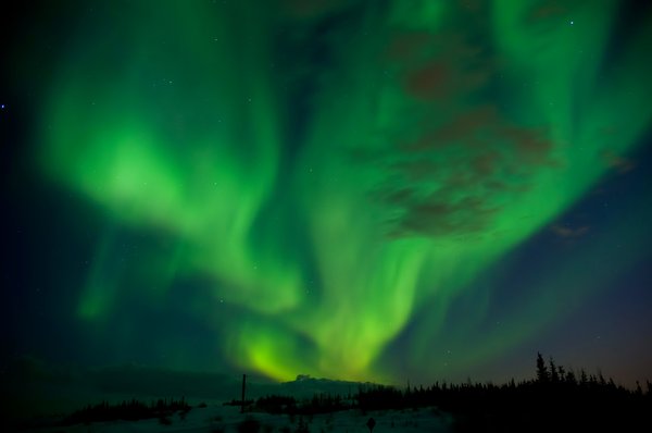 Canadian Northern Lights - Yel