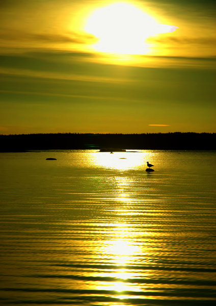 Yellowknife Landscapes 3
