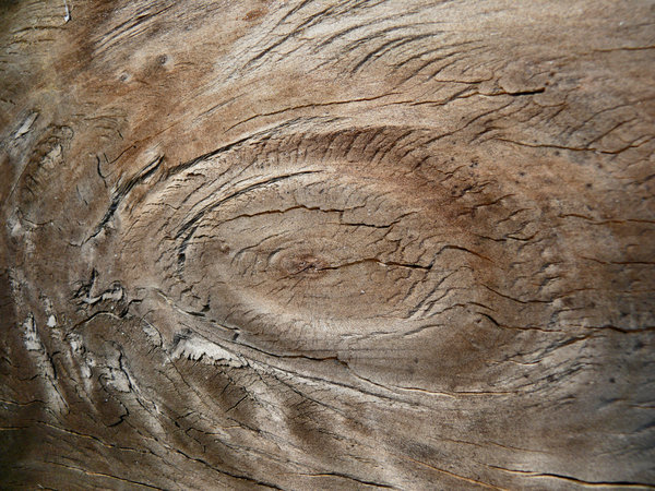 Brown Knot in Plywood Board: A dried and cracked knot in a weathered board on the side of a shed.