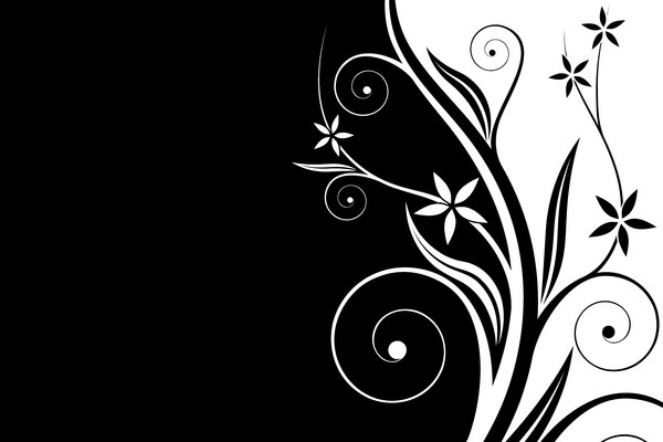Black & White Floral: Black and white floral background