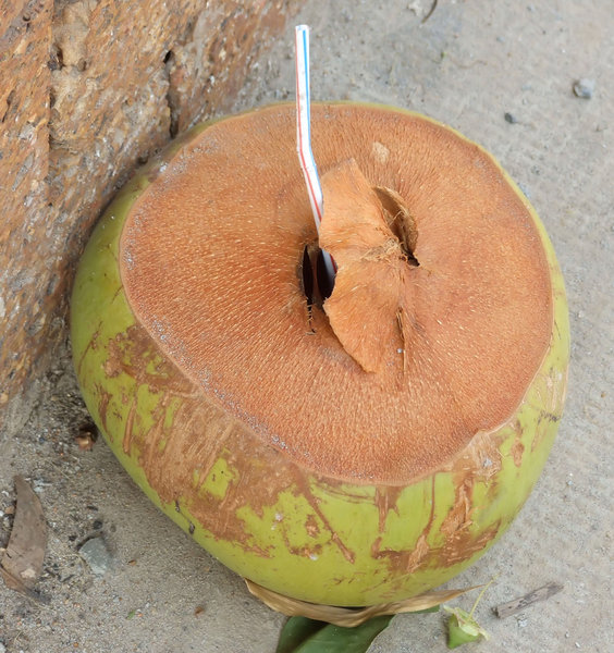 coconut cooldrink