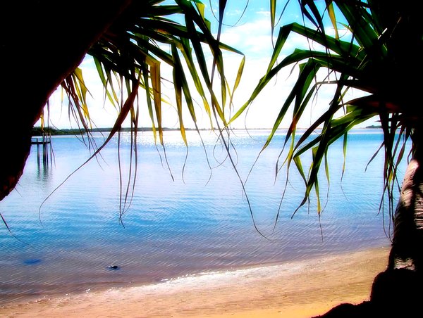 Paradise 2: Semi-tropical beach on the coast of Queensland, Australia. Framed by pandanus trees and a glorious sky.