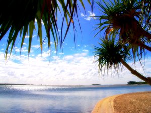 Paradise: Semi-tropical beach on the coast of Queensland, Australia. Framed by pandanus trees and a glorious sky. No redistribution of my images is allowed without permission. Not for sharing or sale on any other site.
