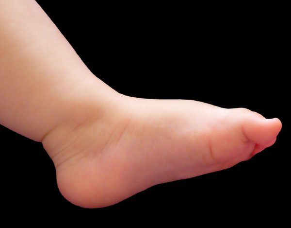Baby's Foot