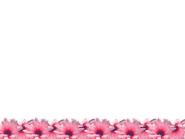 Floral Border 24: Floral border on blank page. Lots of copyspace. Must be seen in the large size to appreciate.