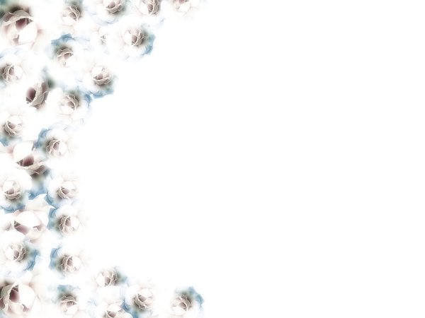 White Rose Border 3: Borders made with white roses. Please use these images only within sxc's Terms of Use. There are restrictions even for images marked 