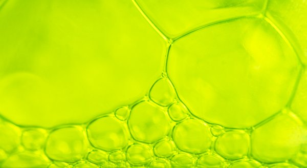 Green bubbles: green soap bubbles