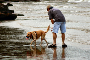 Man and his dog: Playing on the bay