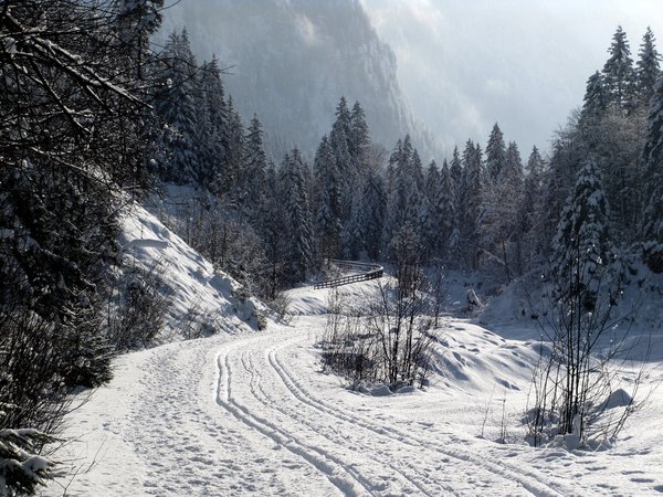 winter morning: Kleinarl,Austria