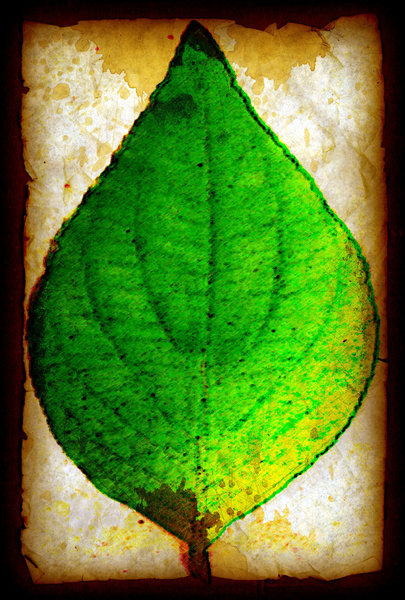 Stained Leaf