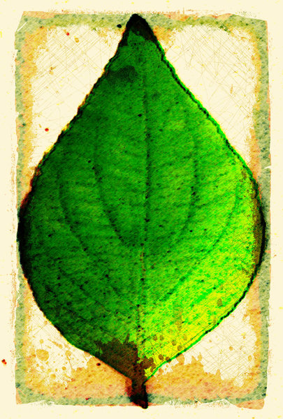 Grunge Leaf 3