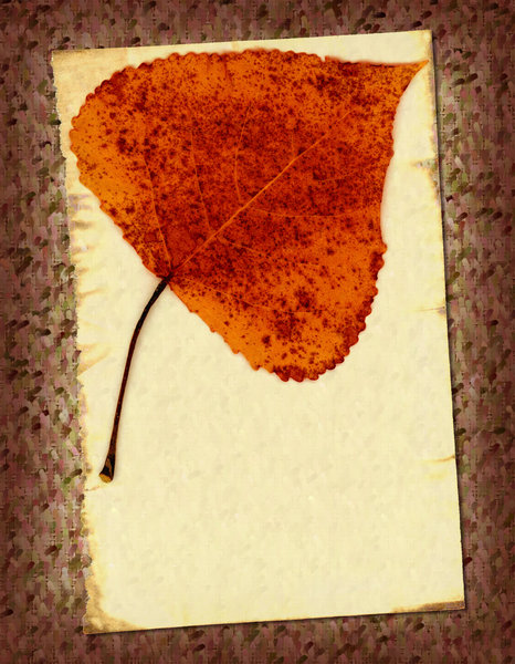 Leaf 3