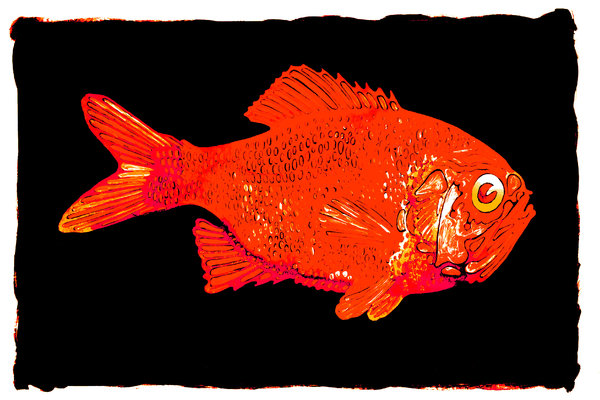 Colored Fish 3