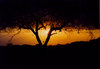 Afrika Sonnenuntergang 2