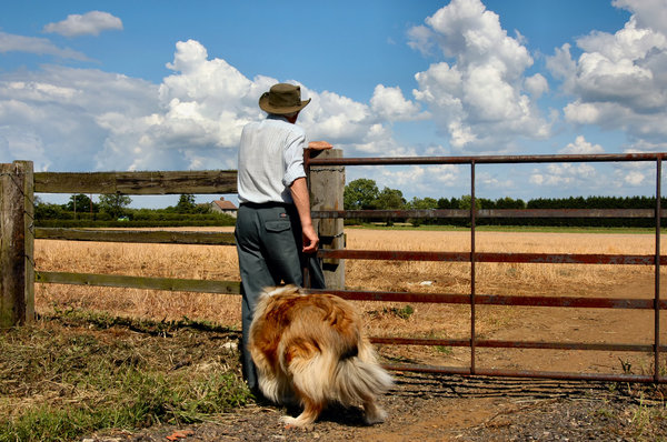Fazendeiro e cão: 