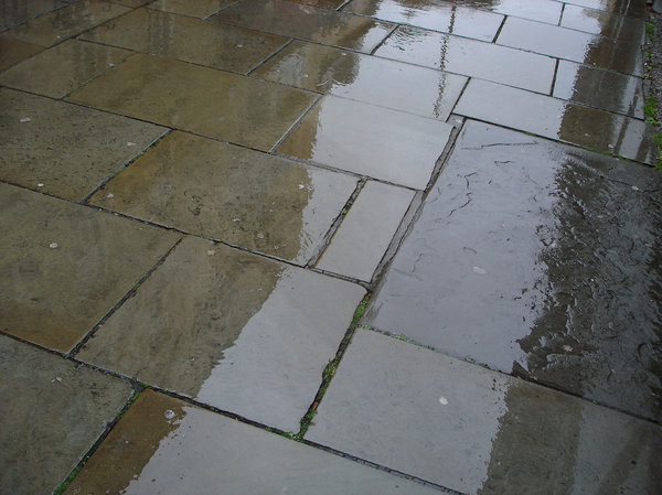 Wet Pavement 1: Images of reflections on wet pavement