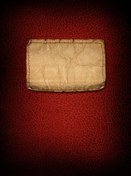 Leather Cover 1: 