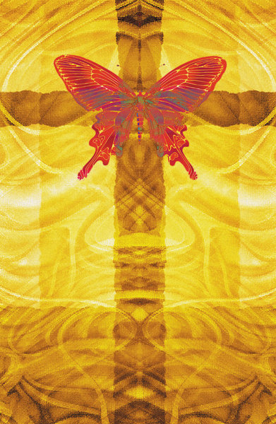 Rebirth 1: Lo Res variations on a cross and butterfly.For a HI RES image, please visit:http://www.stockxpert.com ..