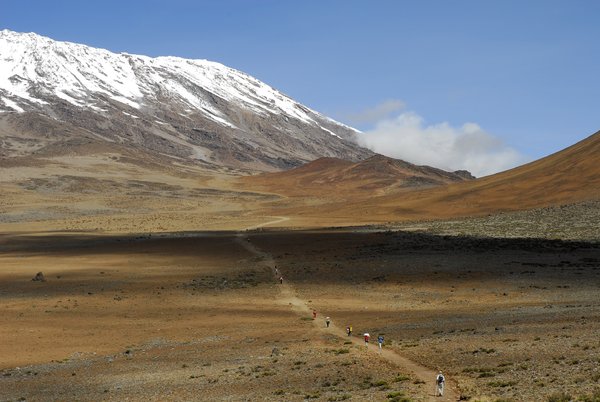 Way to Kilimanjaro